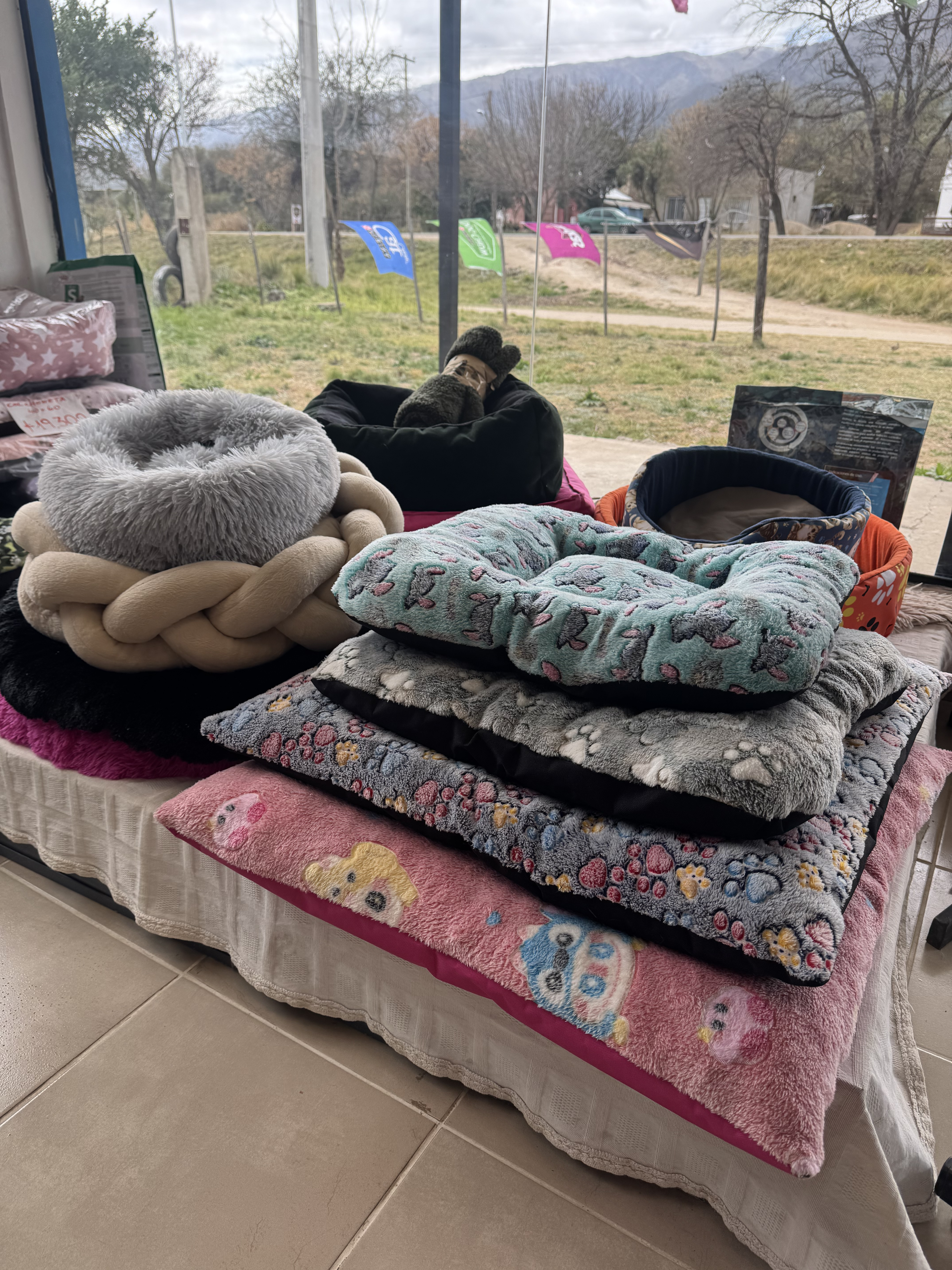 Camitas y accesorios para mascotas en el local